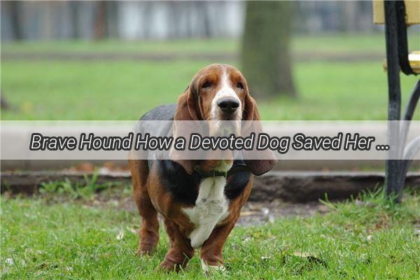 Brave Hound How a Devoted Dog Saved Her Owner in the Dead of Night